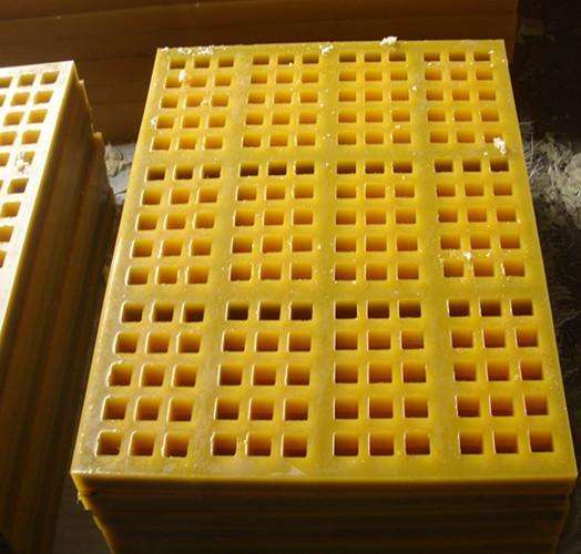 timg (22).jpg timg (22).jpg