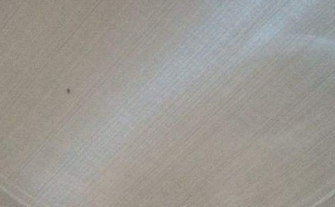 timg (16).jpg timg (16).jpg